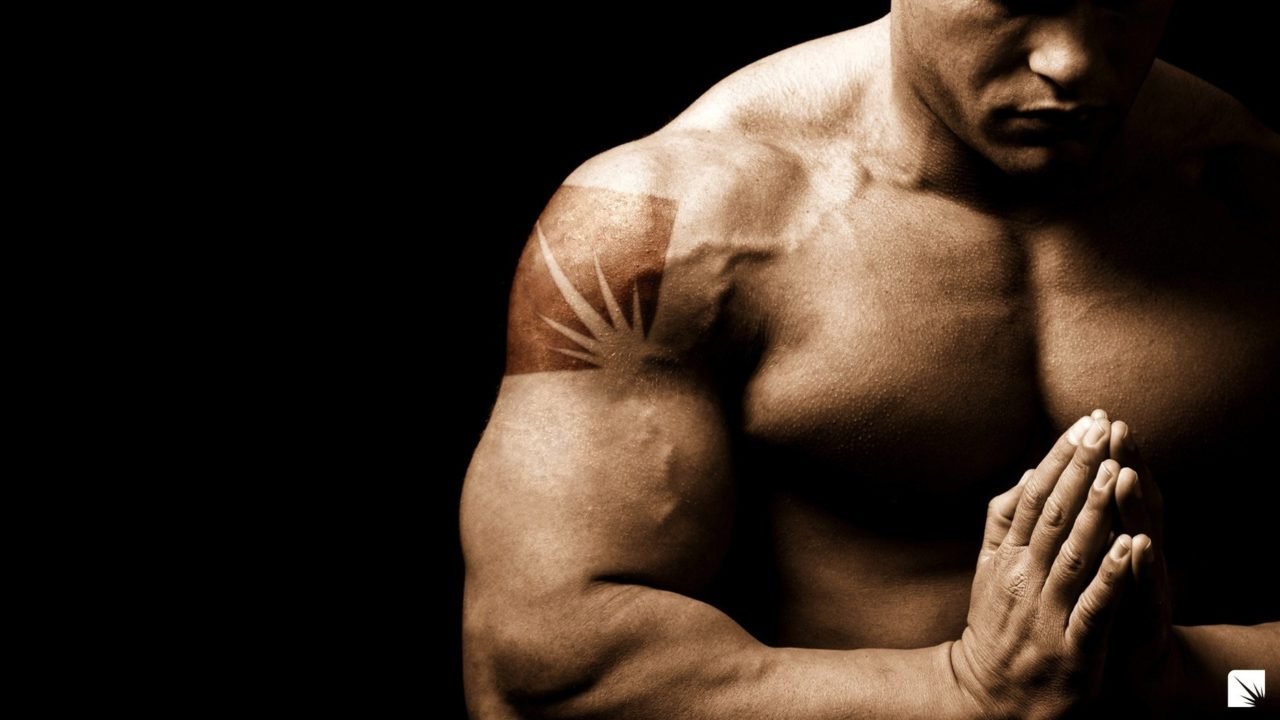 Bodybuilding HD wallpaper | HD Wallpapers