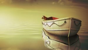 Life Of Pi Boat Tiger