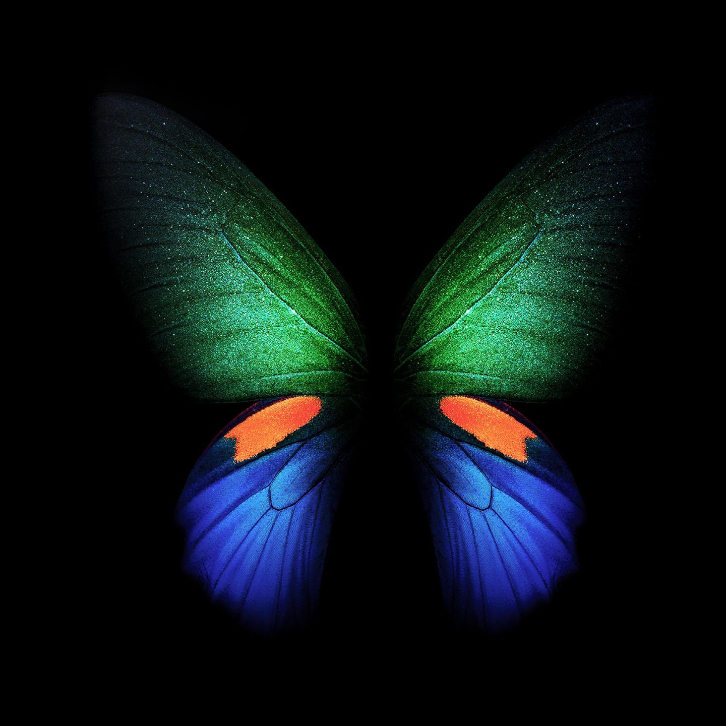 Samsung Galaxy Fold Butterfly Stock 4K Wallpapers | HD Wallpapers